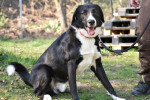 Marley Foto 1