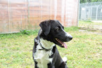 Marley Foto 4