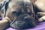 Byron Foto 2