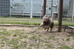 Julien Foto 5