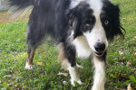 Mogli Foto 1