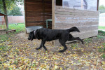 Spike Foto 5
