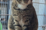 Monty Foto 2